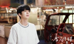 王玉雯爆料张楠视频播放,真相背后引热议